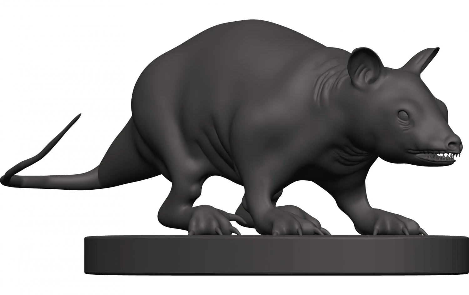 Opossum 3D Print Model .c4d .max .obj .3ds .fbx .stl .blend 