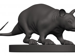 Opossum 3D प्रिंट मॉडल