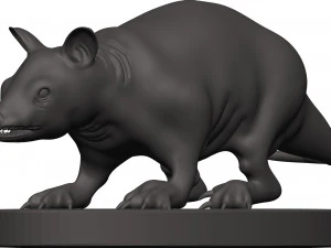 Opossum 3D Print Model