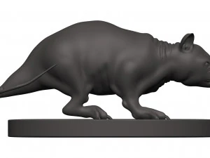 Opossum 3D Print Model