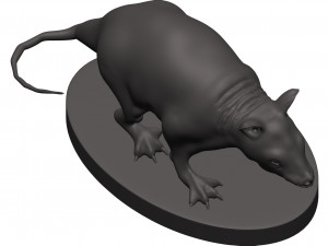 Opossum 3Dプリントモデル