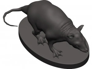 Opossum 3D Print Model