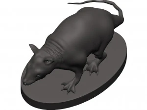 Opossum 3D Print Model