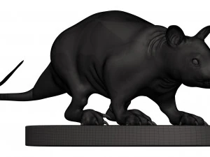 Opossum 3D Print Model