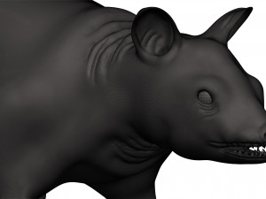 Opossum 3Dプリントモデル