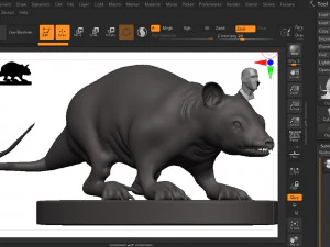 Opossum 3D Print Model