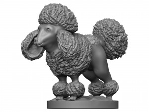 Poodle Modèles 3D en vedette
