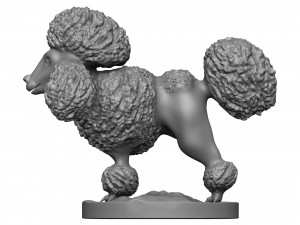 Poodle Modèles 3D en vedette