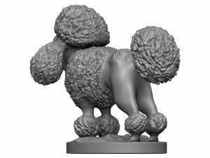 Poodle Modèles 3D en vedette