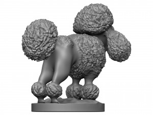 Poodle Modèles 3D en vedette