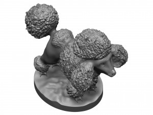 Poodle Modèles 3D en vedette
