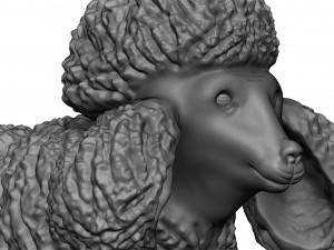 Poodle Modèles 3D en vedette
