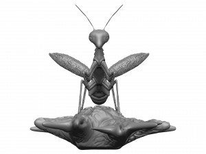 Praying mantis 3D 프린트 모델