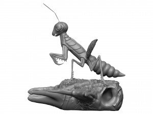 Praying mantis 3D 프린트 모델