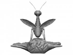 Praying mantis 3D Print Model