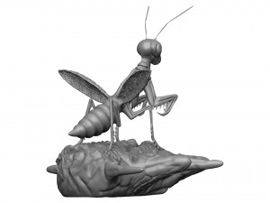 Praying mantis 3D 프린트 모델