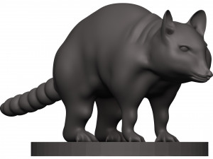 Raccoon 3D Print Model