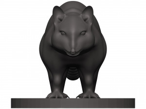 Raccoon 3D Print Model