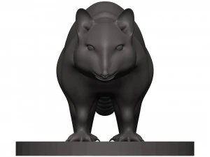 Raccoon 3D Print Model