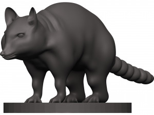 Raccoon 3D Print Model