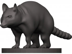 Raccoon 3D Print Model