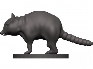 Raccoon 3D Print Model