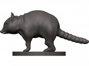 Raccoon 3D Print Model