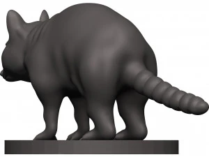 Raccoon 3D Print Model