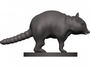 Raccoon 3D Print Model