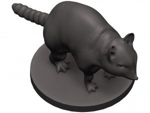 Raccoon 3D Print Model