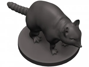 Raccoon 3D Print Model