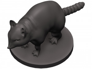Raccoon 3D Print Model