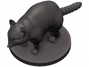Raccoon 3D Print Model