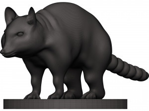 Raccoon 3D Print Model