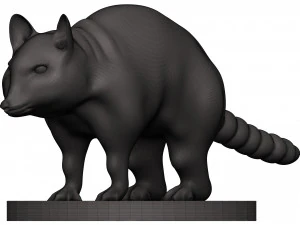 Raccoon 3D Print Model
