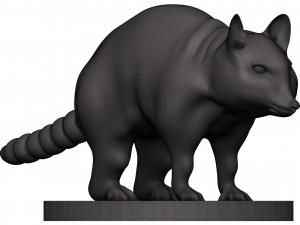 Raccoon 3D Print Model