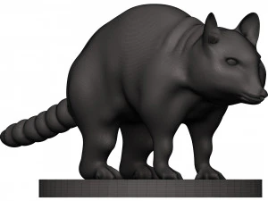 Raccoon 3D Print Model