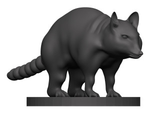 Raccoon 3D Print Model