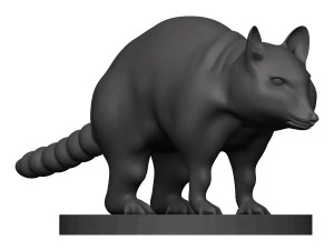 Raccoon 3D Print Model