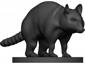 Raccoon 3D Print Model