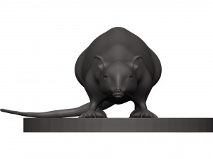 Rat 3D 打印模型