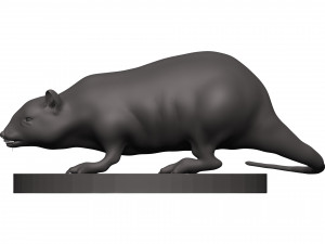 Rat 3D 打印模型
