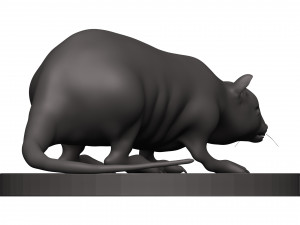 Rat 3D 打印模型