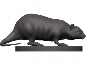 Rat 3D 打印模型