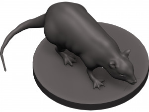 Rat 3D 打印模型