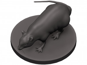Rat 3D 打印模型