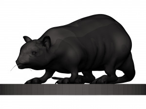 Rat 3D 打印模型