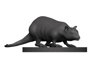 Rat 3D 打印模型