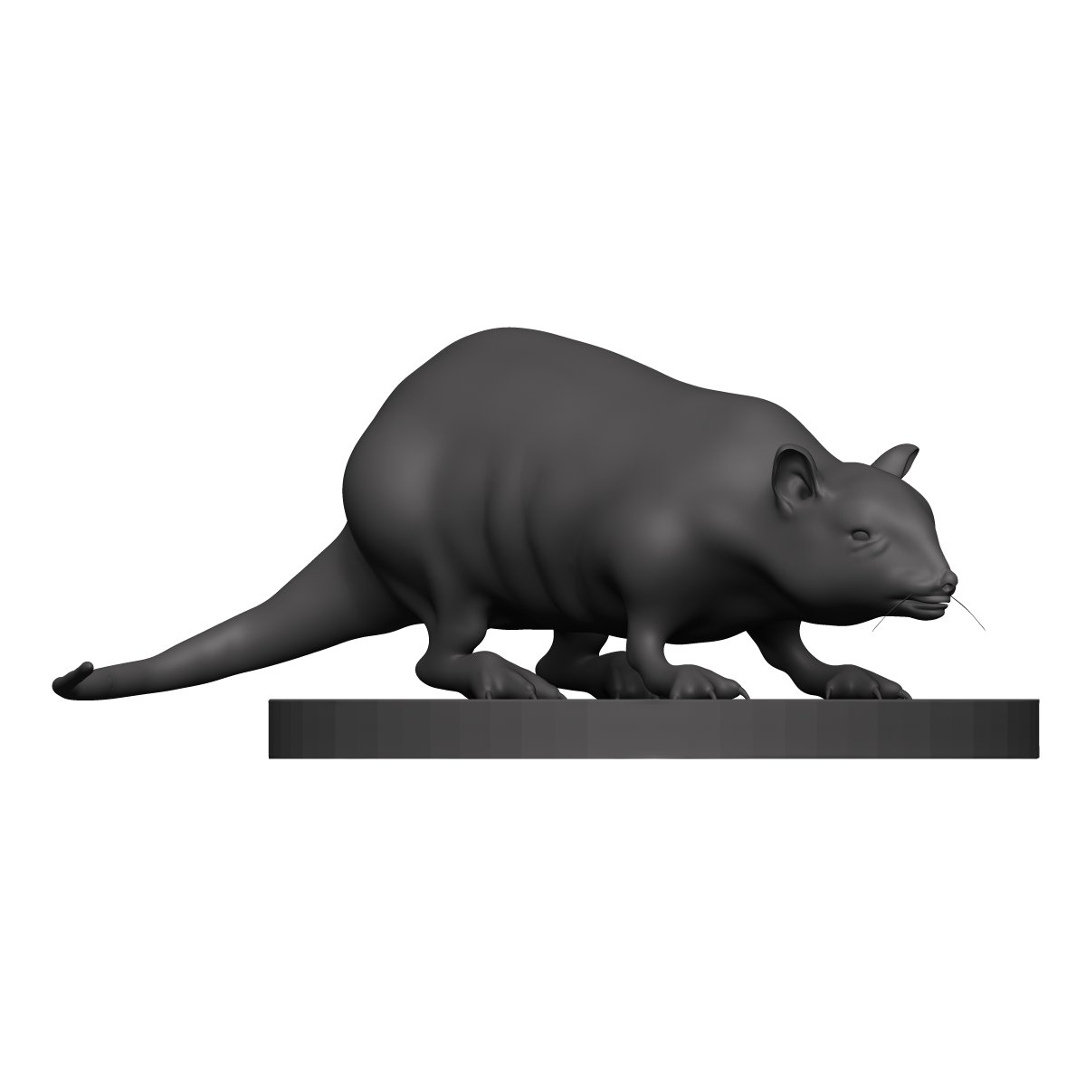 Rat 3d model free. Пацюк крыса. 3д модель крысы низкополигонный. Rat 3d. Крысы.