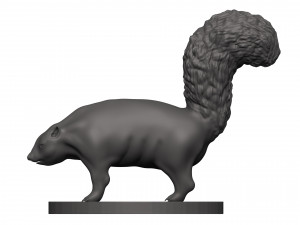 Skunk 3D 打印模型